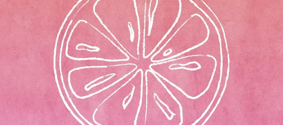 susam A white line drawing of a citrus fruit slice, possibly a lemon or orange, is centered on a pink textured background. The slice is circular with segments clearly outlined, giving a simple, stylized, and artistic appearance.