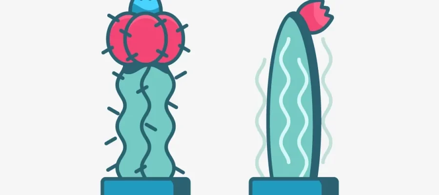 susam Two stylized, cartoon cacti in blue pots. The left cactus has a wavy green body with a round, bright pink top featuring small blue thorns. The right cactus is taller, thinner, and lighter green, with a red flower blooming at the top. Both stand against a light background.