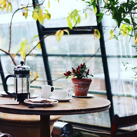 A table with coffee and a potted plant in front of a window.