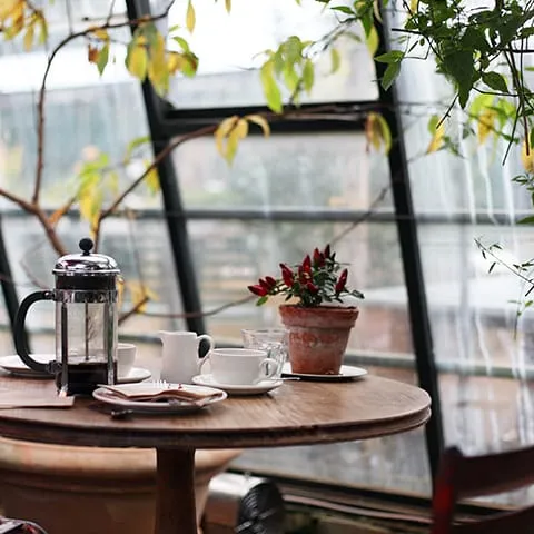 A table with a cup of coffee and a potted plant.